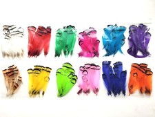LADY AMHERST - Pheasant Tippet Feathers - FLY TYING MATERIALS - 12 COLORS - NEW picture