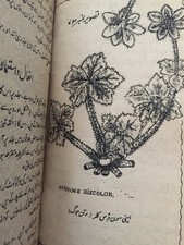 Persian Vintage Old Antique Book Herbal Treatment  picture