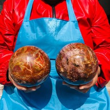 6.82LB 2pcs Natural wood fossil ball healing comes Healing from Madagascar picture