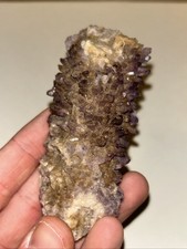 Cactus Amethyst picture