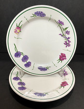 Williams-Sonoma WSO164 Salad Plates 8 7/8