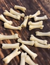 20 Real Coyote TOES BONE MOUNTAIN MAN CRAFT SUPPLY JEWELRY EARRING GOTHIC CLAWS picture