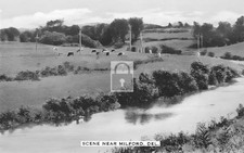 Scene Near Milford Delaware DE - Reprint picture