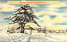 Greetings Mt Pleasant New York NY Linen Postcard Snow Woodstock NY Cancel  PM picture