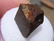 2.70 grams NWA 5059 Meteorite ( L4 ) cut fragment with a COA picture