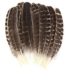 CCINEE 15pcs Natural Turkey Feather, 10-11 Feathers picture