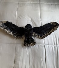OWL Huge & Hanging By Z Gallery New picture