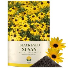 Black Eyed Susan Seeds 100000+ Seeds 1 oz Bulk Resealable Packet Flower Kit picture