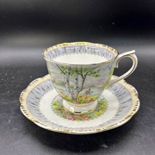 Vintage Royal Albert Bone China Silver Birch Teacup & Saucer England MINT picture