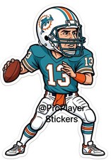 🏈 Miami Dolphins “Dan Marino” Sticker 🏈 picture