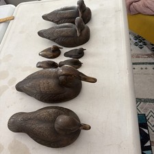 DUCKS Unlimited  picture