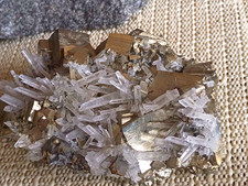 Pyrite with Clear Quartz Crystal Cluster Mineral Specimen 111g Approx. 4 Inches picture