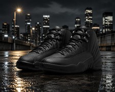 Jordan 12 Retro 