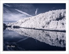 Converted Infrared IR Full Spectrum Panasonic G3 Camera 148 picture