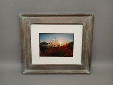 Tom Hart Flowers Beach Photograph Ocean Framed Art Decor picture
