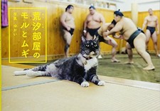 Mori and Mugi the Sumo Stable Cats English and Japanese Edit picture