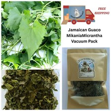 1000 Leaves Jamaican Guaco Mikania Micrantha Wildcrafted Herb Natural Healing picture
