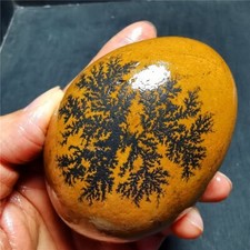 BEST HOT299.4G Natural Gobi  tree agate  China Mongolia  6875+ picture