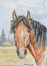 ACEO original gouache -Curious buckskin horse- 3.5 by 2.5 inches picture