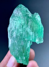 Hiddenite Kunzite Crystal From Afghanistan 366 Carat picture