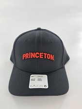 Nike Princeton Tigers Hat Unisex OSFM Gray Classic99 Stretch Dri-Fit Swoosh Flex picture