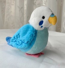 Blue Budgerigar Budgie Bird 5.5