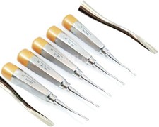 5 EA German Premium Root Dental Tooth Extracting Elevator # 77R-Dental Elevators picture