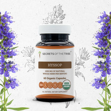Secrets Of The Tribe Hyssop Capsules, 500 mg picture