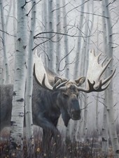 Western Winter Moose Painting in Aspen Trees - Limited Edition Canvas art Print picture