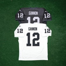 Rich Gannon Reebok NFL Oakland Raiders Authentic On-Field EQT Jersey picture