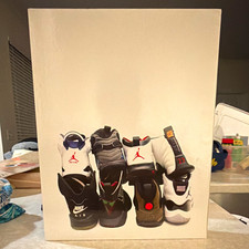 The Encyclopedia of Air Jordans Hardcover by Lawrence Jay 1st Collector's Ed picture