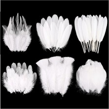 White Craft Feathers Bulk-180Pcs 6 Style Mixed Natural Feathers picture