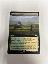Windswept Heath Extended Art Nonfoil Card #0466 MTG LP picture