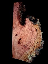 XL Wicked CURLY Birdseye Cherry  BURL Wood Slab EPOXY/Turning Wood Curly Cherry  picture
