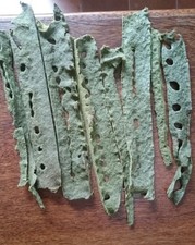 Brazilian Green Propolis 100g (3.5 oz) Raw Resin – Immune Support Natural picture