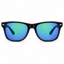 Flash Mirror Polarized Horned Rim Retro Men's Sunglasses picture