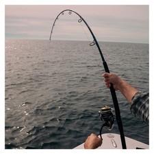 St. Croix Rogue V Salt Spinning Fishing Rod - Choose Model picture