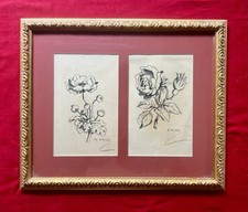1908 French Antique Original Botanical Drawing Belle Epoque Framed Under Glass  picture