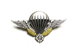 Original French Army Paratrooper Wings Badge DRAGO PARIS M1946 Airborne picture