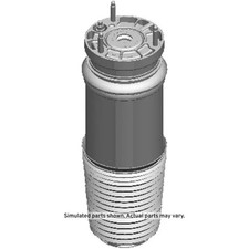 Genuine GM Air Spring 85016267 picture