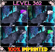 Parrot LEVEL 362 [100%IMP] ARK🌸 Survival Ascended ASA PVE [Parrots] picture