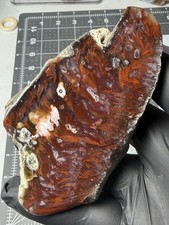 Rare Flame Agate Mexico Old Stock Plume Polished Specimen picture