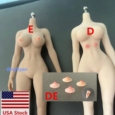 DIY 1/12 Female Nipple Breast Chest Vagina Patches Accessories For 6''Figure picture