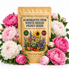 50 Romantic Pink White Mixed Peony Seeds - Garden Flowers for Home Planting Beds picture
