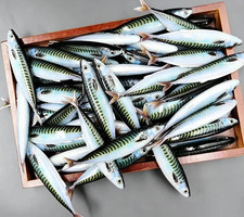 3PCS 5.71in 33.5g Trolling Hard Bait, Realistic Sardine Fishing Lure for Tuna & picture