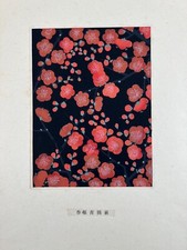 Japanese Woodblock flower print “Chikusa no Kaori” 18 print Sugiura Hisui 1932 picture