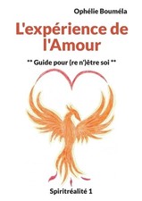L'exprience de l'Amour: Guide pour (re n')?tre soi by Oph?lie Boum?la (French) P picture
