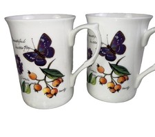 2 Rose of England Butterfly Flowers Garden Wren Fine Bone China Coffee Tea Cup picture