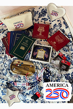 America 250 Patriotic Mixed Lot Pins, Earrings & Lanyard Red White Blue picture