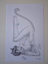2014 Jim Balent's - TAROT: Witch of the Black Rose Signed Lithograph  #231/500 picture